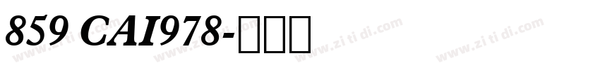 859 CAI978字体转换